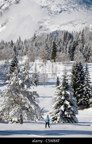 Österreich, Tirol, Seefeld, Wildmoosalm, Frau Langlauf Stockfoto