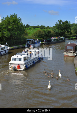 Boote auf dem Kanal von Lancaster in Garstang Stockfoto