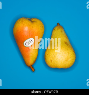 Bio-Birnen, erhöhten Blick Stockfoto