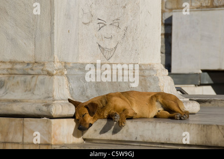 Schlafender Hund und Graffiti in Syntagma-Platz, Athen, Griechenland Stockfoto