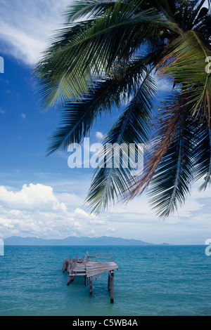 Asien, Thailand, Koh Samui, Meerblick mit Promenade, palm Leaf im Vordergrund Stockfoto