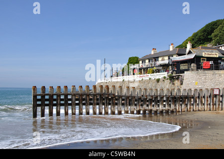 Spyglass Inn Gasthaus, Ventnor, Isle Of Wight, England, UK Stockfoto