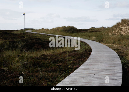 Deutschland, Schleswig-Holstein, Amrum, Holzbohle Weg über Sanddünen Stockfoto