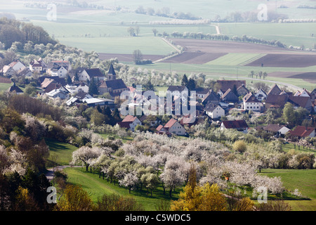 Deutschland, Bayern, Franken, Fränkische Schweiz, Schlaifhausen, Blick auf Stadt mit Kirschbäumen Stockfoto