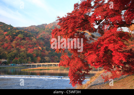 Rote Blätter und Togetsu Brücke bei Arashiyama, Kyoto, Kyoto, Japan Stockfoto