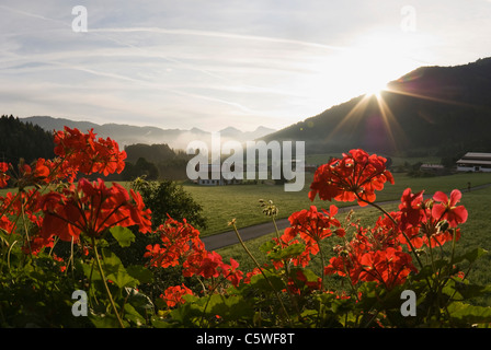 Österreich, Tirol, Walchsee, Zahmer Kaiser bei Sonnenaufgang Stockfoto