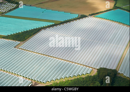 Poly-Tunnel - Anbau unter Kunststoff, Leeds Nordengland Stockfoto