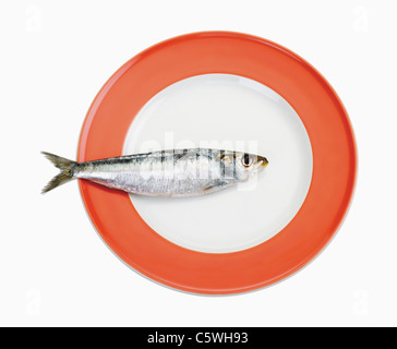 Platte mit Fisch, Nahaufnahme Stockfoto