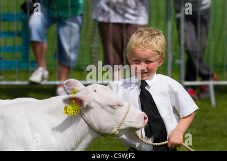 British Jersey Färsen Kühe & junge Handler (MR). Kinderaussteller Auszubildender Landwirt auf der Cartmel Agricultural Society Annual Rural Cattle Show, 2011 im Lake District, Cumbria, England Stockfoto