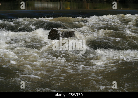 Einen kleinen Damm am Fluss. Fluss La Varenne (Orne, Normandie, Frankreich). Stockfoto