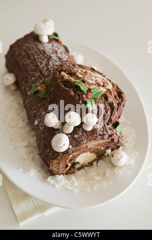 Buche de Noel Kuchen Stockfoto