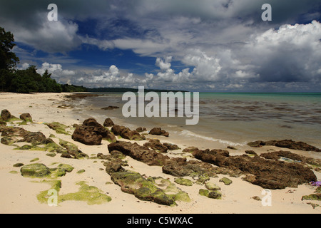 Die Andamanen-Inseln, Havelock, Indien Stockfoto