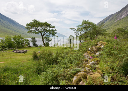 Am Ende der Straße nach unten Glen Etive entlang Loch Etive suchen Stockfoto