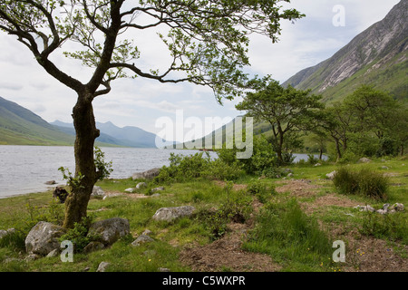 Das Ende der Straße nach unten Glen Etive entlang Loch Etive suchen Stockfoto