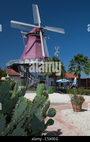 Alte holländische Windmühle, Palm/Eagle Beach, Aruba, weniger Antillen, Karibik mit tiefblauem Himmel und Kaktus im Vordergrund Stockfoto