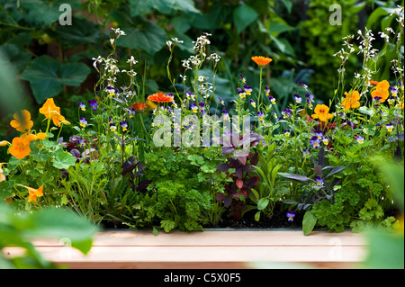 Burgon & Ball 5-A-Day-Garten in 2011 Hampton Court Palace Flower Show, UK Stockfoto