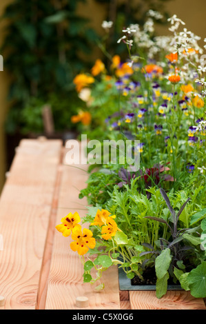 Burgon & Ball 5-A-Day-Garten in 2011 Hampton Court Palace Flower Show, UK Stockfoto