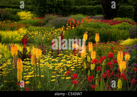 Die heißen Garten im Sommer, RHS Rosemoor, Devon, England, Vereinigtes Königreich Stockfoto