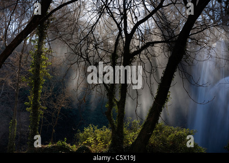 Winter-Nebel Stockfoto