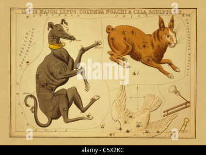 Canis Major, Lepus, Columba Noachi & Cela Sculptoris - 1825 astronomische Diagramm Stockfoto