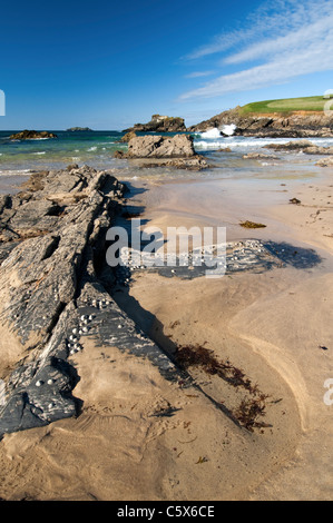 Blick zum Meer über einen felsigen Strand an der Küste von North Cornish. Stockfoto