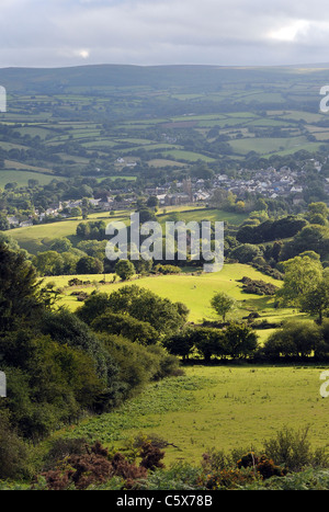 Rolling devon fields near Moretonhampstead on the slopes of Dartmoor,Devon,Devon, Rural Scene, UK, Summer, Agricultural Field, Farm, Nature, Skill, Stockfoto