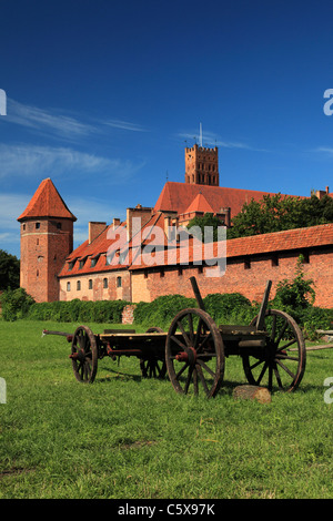 Warenkorb am Marienberg Marienburg des Deutschen Ritterordens, Malbork, Polen Stockfoto