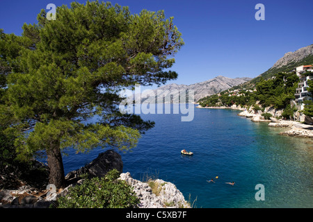 Kroatien, Makarska Riviera, Brela, Küstenregion Stockfoto