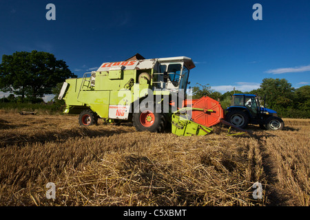 CLAAS Dominator 106 schneiden Hafer Stockfoto