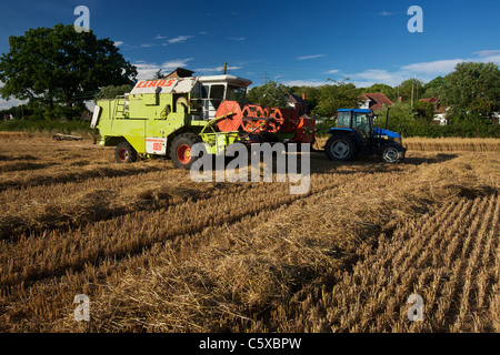 CLAAS Dominator 106 schneiden Hafer Stockfoto