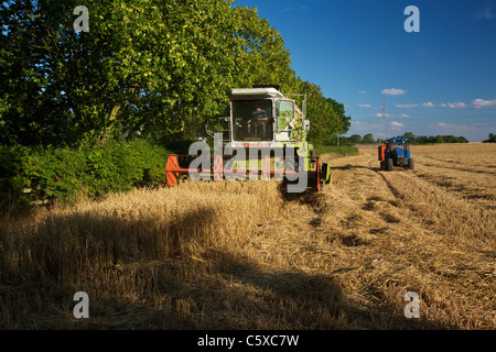 CLAAS Dominator 106 schneiden Hafer Stockfoto