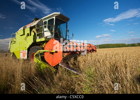 CLAAS Dominator 106 schneiden Hafer Stockfoto