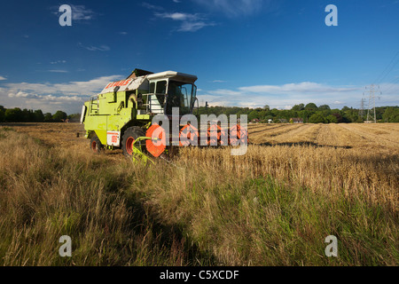 CLAAS Dominator 106 schneiden Hafer Stockfoto