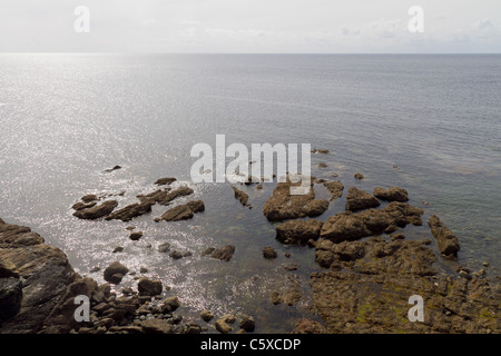 Polpeor Insel, Lizard Point, Cornwall Stockfoto