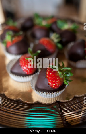 Bio-Erdbeeren Swanton BerryFarm Stockfoto