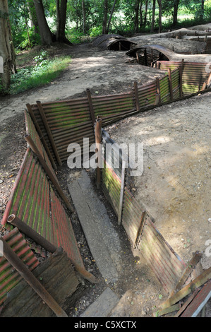 WW1 Gräben vom ersten Weltkrieg ein Heiligtum Holz Museum Hill 62 bei Zillebeke, West-Flandern, Belgien Stockfoto
