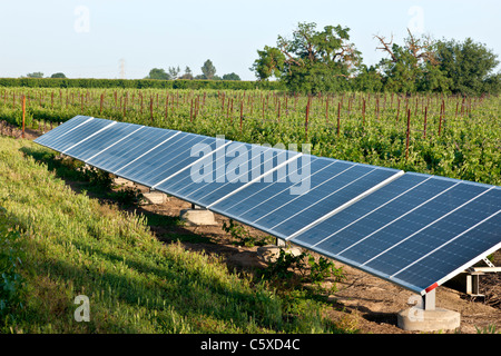 Sonnensystem, Weinberg, Stockfoto