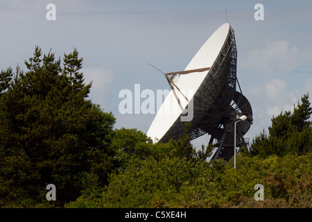 Kommunikation-Gericht gesehen durch Bäume am Goonhilly Satellite Earth Station, Goonhilly Downs in der Nähe von Helston, Cornwall Stockfoto