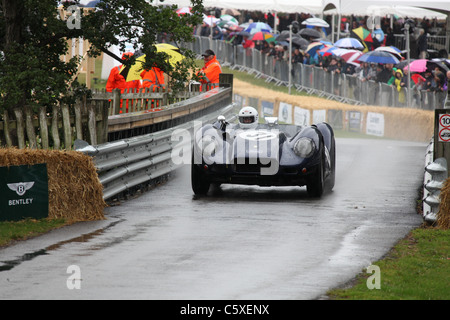 Cholmondeley Schlossgärten. Lister Jaguar racing um die 1,2 Meile Strecke während der Cholmondeley Pageant of Power. Stockfoto