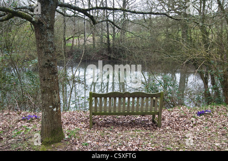 Eine Gartenbank mit Blick auf einen großen Teich, umgeben von Bäumen auf einem Landgut in ländlichen Dorset, Großbritannien. Stockfoto