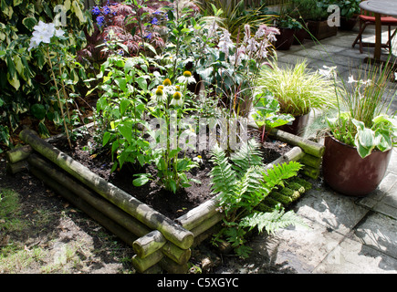 Hölzerne Terrasse Garten Pflanzer Stockfoto