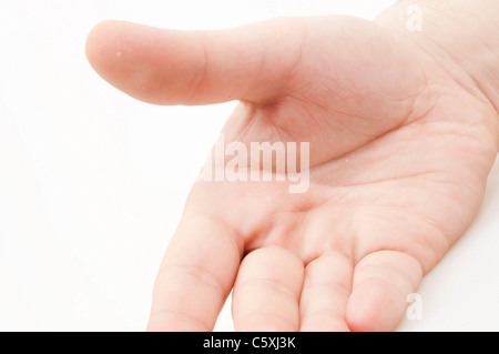 Isolierte Handfläche auf weißem Hintergrund Stockfoto