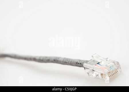 Isolierte Internet-Kabel auf weißem Hintergrund Stockfoto