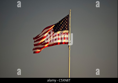 Amerikanische Flagge und der Wind, isolierte Bild auf grauem Hintergrund Stockfoto