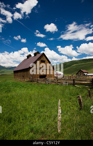 Verwitterte Scheune am Cold Spring-Ranch in der Nähe von Crested Butte, Colorado, USA Stockfoto