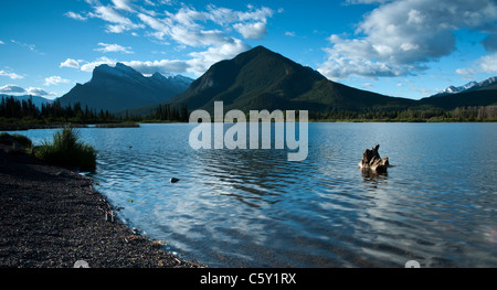 Ein Landschaft Blick auf Mount Rundle und Sulphur Mountain spiegelt sich in Vermillion Seen, im Banff National Park. Stockfoto