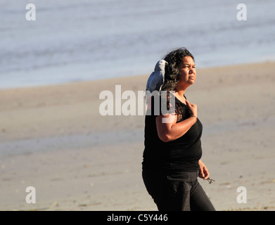 Frau zu Fuß am Strand mit einem Graupapagei (Psittacus erithacus) auf ihrer Schulter gehockt. Stockfoto