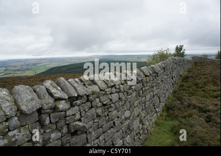 Eine Wand auf die Mauren in Northumberland Stockfoto