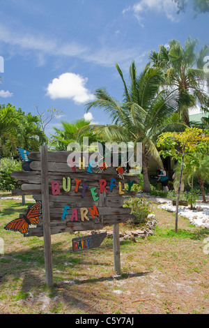 Butterfly Farm, J. Irausquin Z/N Boulevard, Oranjestad, Aruba Stockfoto