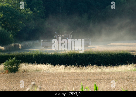 Mähdrescher in Maisfeldern von England Stockfoto